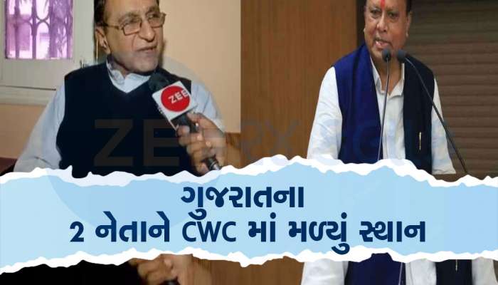 લોકસભા ચૂંટણી પહેલા કોંગ્રેસની નવી ટીમ બની, CWC માં ગુજરાતમાંથી જગદીશ ઠાકોર-દીપક બાબરીયાને મળ્યું સ્થાન