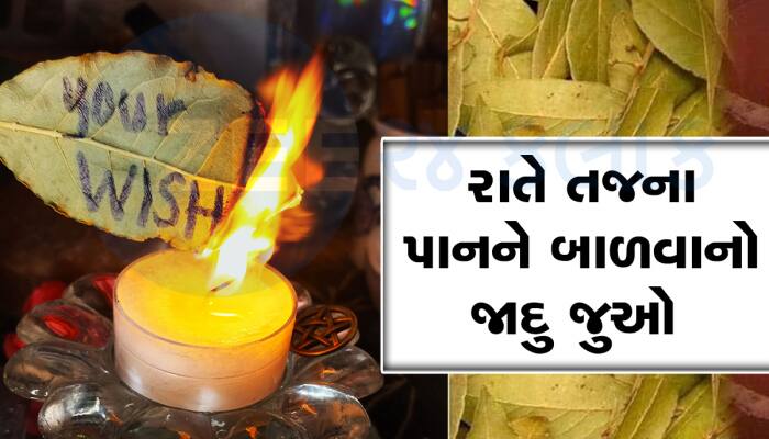 જાદુ જોવો હોય તો રાતે તજના પાન બાળો, તમારા રોમ રોમમાં સળવળાટ થઈ જશે