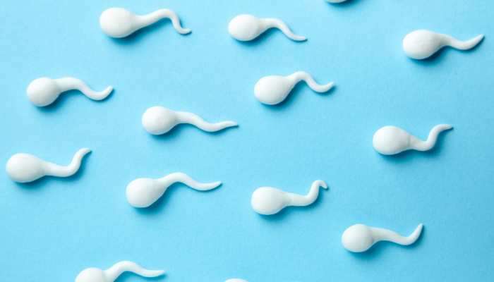 sperm count: લગ્ન જીવનને સુખી બનાવવું હોય તો પુરુષોએ ખાવા જોઈએ આ પાંચ સુપરફૂડ