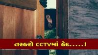 ઔદ્યોગિક નગરીમાં ફરી એકવાર તસ્કરોનો તરખાટ! 19 લાખથી વધુની ચોરી કરી પલવારમાં ફરાર 