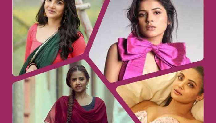 ટીવી છોડી પંજાબી ફિલ્મોમાં અજમાવ્યું કિસ્મત, આજે મોટા પડદા પર કરે છે રાજ