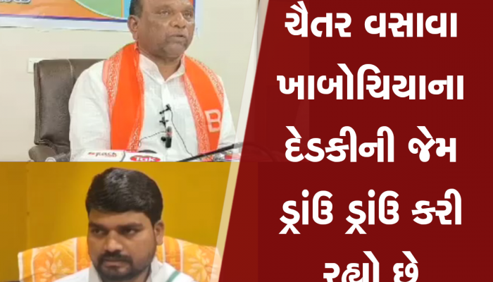 લોકસભા પહેલા ભરૂચમાં રાજકારણ ગરમાયું : મનસુખ વસાવાએ ચૈતર વસાવાને કૂવાનો દેડકો કહ્યો