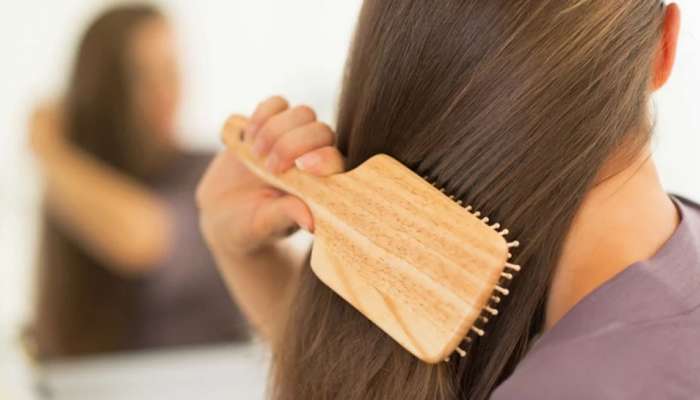 Hair Care: ખરતા વાળ અટકાવવા હોય તો ખાવી આ 5 વસ્તુઓ, એક પણ વાળ નહીં જોવા મળે કાંસકામા