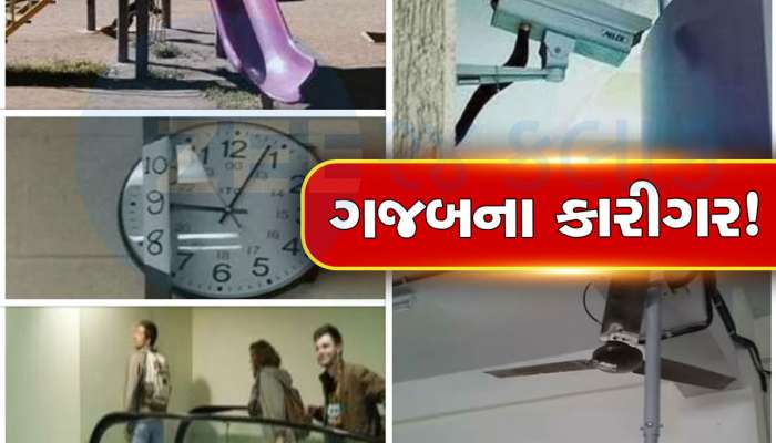 Photos: ભગવાન બુદ્ધિ વહેંચતા હતા ત્યારે આ ક્યાં હતા, જોઈ લેજો આ અકકલના ઓથમીરોને