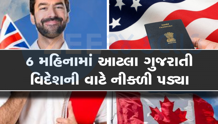 ગુજરાતીઓને વતન નહિ વિદેશ ગમે છે, જુલાઈ મહિનામાં આટલા લાખ લોકો વિદેશ ગયા 