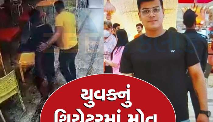 થિયેટરમાં ગદર-2 મૂવી જોવા ગયેલા યુવકને બિલ્લીપગે આવી ગયું મોત, હચમચાવતો Video