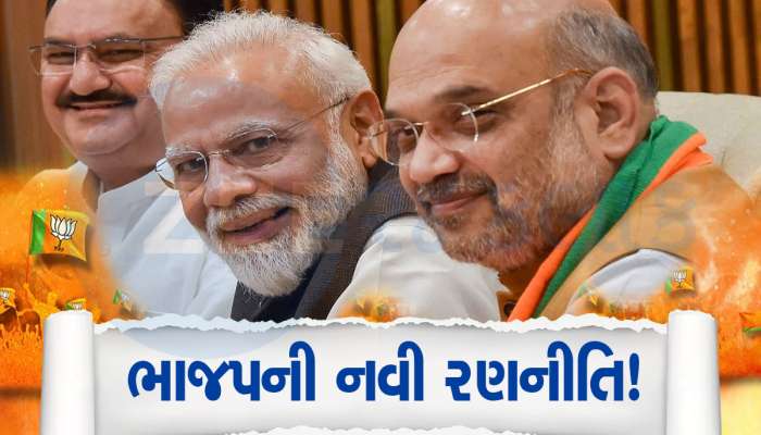 લોકસભામાં 150 ચહેરા BJP નવા ઉતારશે, 2 વાર જીતેલાને તક નહીં: સંગઠનમાં મળશે જવાબદારી