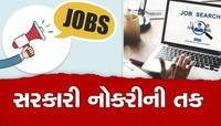 ધોરણ 10 પાસ માટે સરકારી કંપનીમાં નોકરીની શાનદાર તક, 45000 રૂપિયા પગાર મળશે
