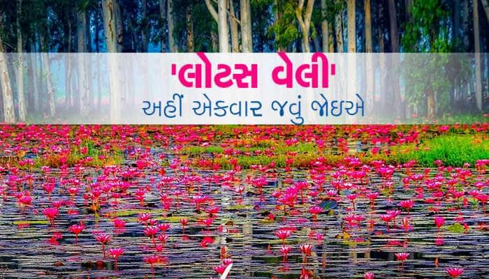 અહીંની લૉટસ વેલી જોયા બાદ હિમાચલ અને ઉત્તરાખંડ પણ ભૂલી જશો!