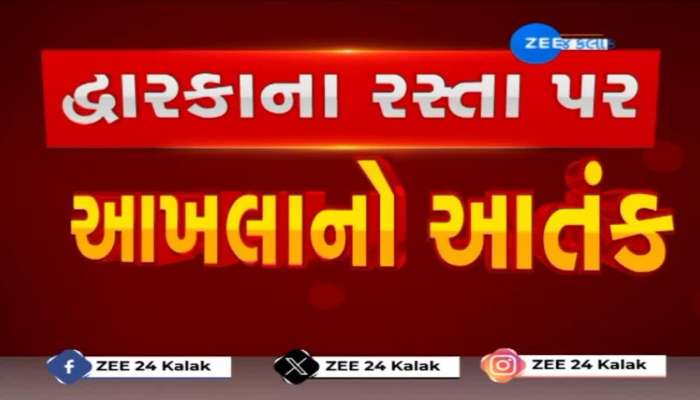 આખલાના આતંકના આ CCTV તમારા પણ શ્વાસ અધ્ધર કરી દેશે....!