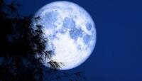 SuperMoon: આકાશમાં દેખાયો અદભૂત નજારો...નિહાળો સુપર બ્લુ મૂનનો નજારો!