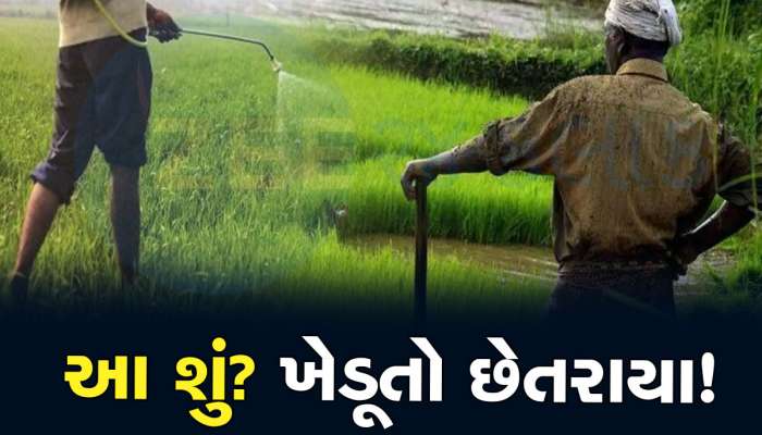 Gujarat News: લો બોલો...જગતના તાતને છેતર્યા, જંતુનાશક દવાઓમાં મોટી ગોલમાલ સામે આવી