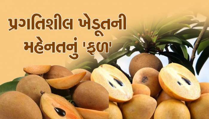 આ સફળ ખેડૂત પાસે ટિપ્સ લેવા દૂર દૂરથી દોડી આવે છે ખેડૂતો, કરે છે લાખોમાં કમાણી