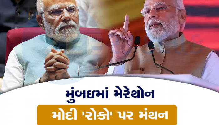 PM મોદીને હટાવવા I.N.D.I.A. ગઠબંધન સક્રિય , આ 13 નેતાઓને સોંપાઈ મોટી જવાબદારી