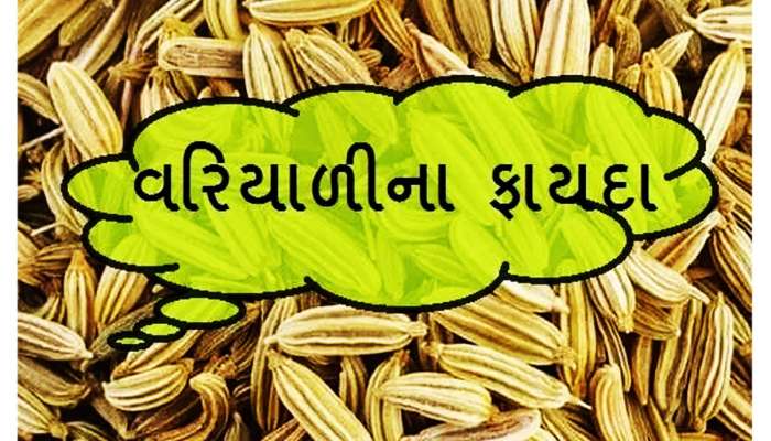 Fennel Seeds: ચપટી વરિયાળી તમને કરાવી શકે છે ચમત્કારિક લાભ, જાણીને ચોંકી જશો