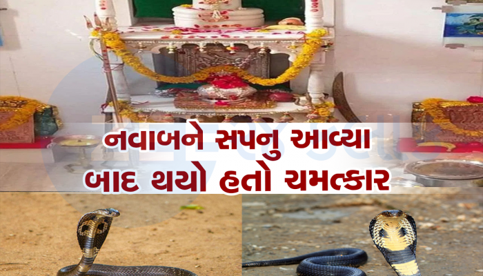 વર્ષમાં માત્ર બે વાર ખૂલ છે ગુજરાતનું આ ચમત્કારિક નાગ મંદિર, નાગપંચમીએ થાય છે દર્શન  