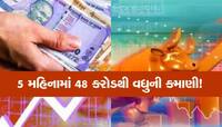 આ વ્યક્તિએ 5 મહિનામાં કમાઈ લીધા 48,76,50,000 રૂપિયા, માત્ર ₹56 નો છે શેર