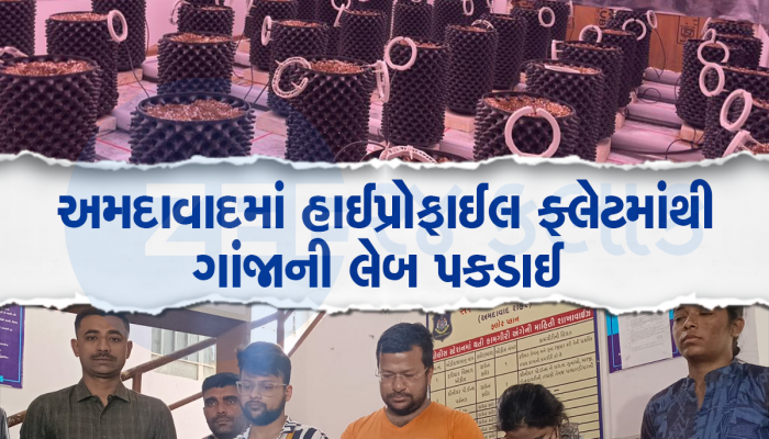 ફ્લેટમાં 96 કુંડામાં ગાંજો ઉગાડ્યો, ગુજરાતમાં 24 કલાક વીજળી મળતી હોવાથી ગાંજાના વાવેતર અમદાવાદની પસંદગી કરાઈ