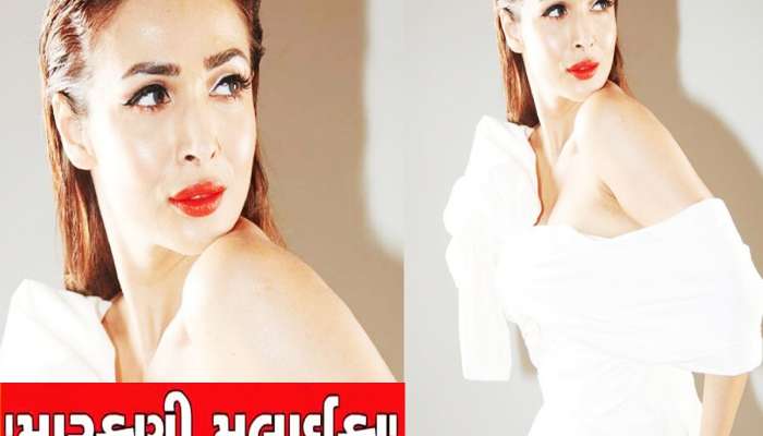 Malaika Arora: હાલ સોશિયલ મીડિયા પર કેમ ખુબ ઝડપથી વાયરલ થઈ રહી છે મલાઈકાની આ તસવીરો?