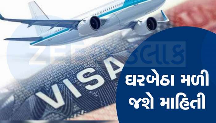 દૂતાવાસ જવાની નથી જરૂર! પાસપોર્ટ નંબર દ્વારા ઘરબેઠા ચેક કરી શકશો Visa Status