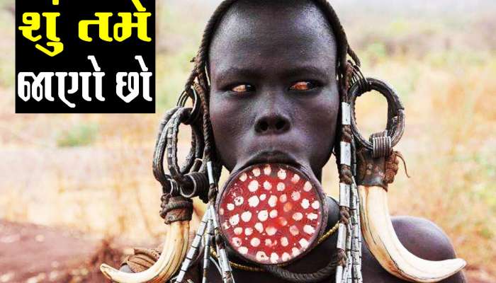 આ સવાલોના જવાબો તમને અપાવી શકે છે સારી નોકરી? જાણતા હશો તો ઈન્ટરવ્યૂમાં કામ લાગશે