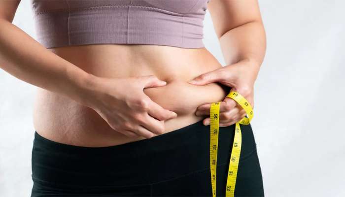 Weight Loss: બરફ ઓગળે એમ ઓગળશે શરીરમાં જામેલી ચરબીના થર, નાસ્તામાં ખાવી આ 4 વસ્તુઓ