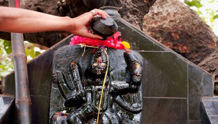 શનિ દેવને અન્ય કોઈ નહીં ફક્ત સરસવનું જ તેલ ચઢાવવું, જાણો શું છે સરસવના તેલનું મહત્વ