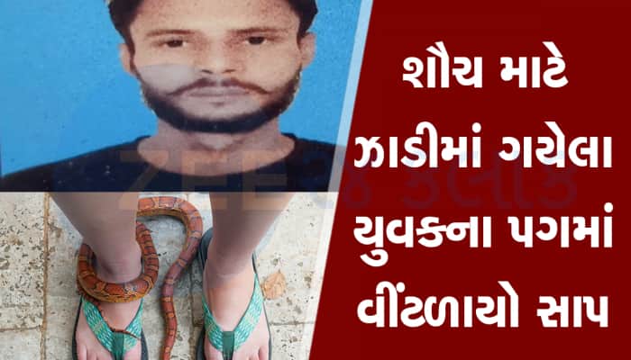 પત્ની સાથે શાકભાજી લેવા ગયેલા પતિને સાપ કરડ્યો, પગમાં એવો વીંટળાયો કે જીવ ગયો