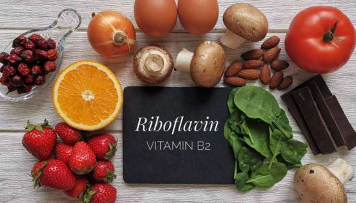 Riboflavin Rich Foods: આ 5 વસ્તુઓ ખાવાથી હંમેશા તરોતાજા રહે છે બોડી અને માઈન્ડ