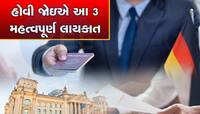 Work Visa નથી તો એપ્લાય કરો આ Job Seeker Visa, 9 મહિના સુધી નો ટેન્શન