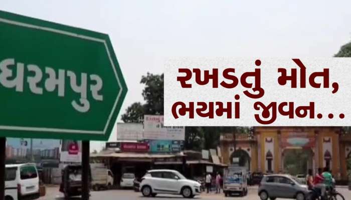આ તાલુકામાં દિનદહાડે બંધાય છે લોકોના જીવ પડીકે, એક મહિનામાં 11 ગંભીર અકસ્માતોથી ફફડાટ