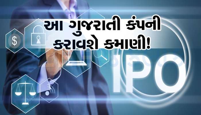 Madhusudan Masala IPO: 18 સપ્ટેમ્બરે ખુલશે આ ગુજરાતી કંપનીનો આઈપીઓ, પ્રાઇઝ 66-70, GMP 35 રૂપિયા
