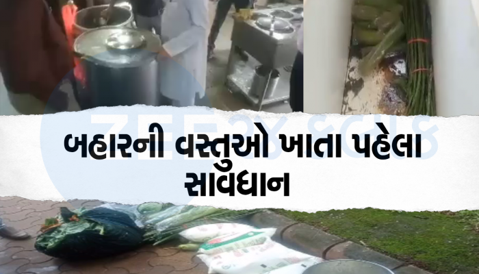 ગુજરાતના ફેમસ હીલ સ્ટેશનમાં લોકોના આરોગ્ય સાથે ચેડા, વેચાતું હતું આવું ગંદુ ફૂડ 