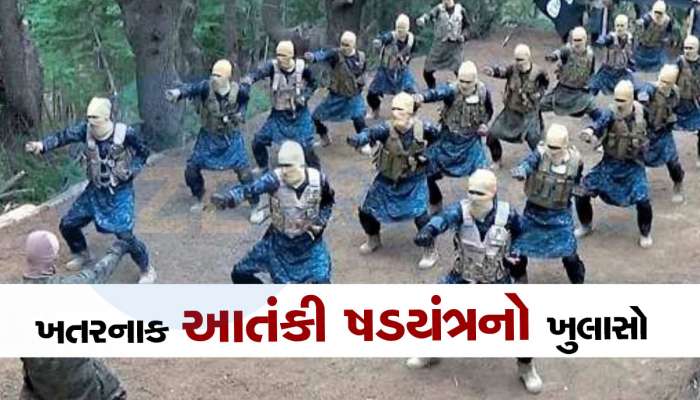 ચાઈનીઝ હથિયારો, PoK ના ટેરર કેમ્પોમાં ટ્રેનિંગ, પાક સેનાનું ખતરનાક આતંકી ષડયંત્ર