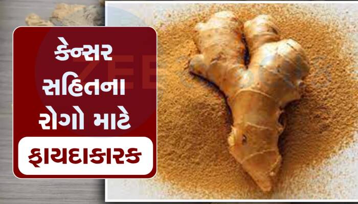 કોઇ ખજાનાથી કમ નથી Gingerols રિચ સૂંઠ, કબજિયાત સહિત દૂર કરશે ઘણી બિમારીઓ