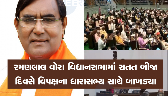મને દુ:ખ છે કે તમે હવે શિક્ષણ મંત્રી તો નહીં પણ મંત્રી પણ નથી, શંકર ચૌધરી સામે અકળાઈ જનારા આજે ભરાયા