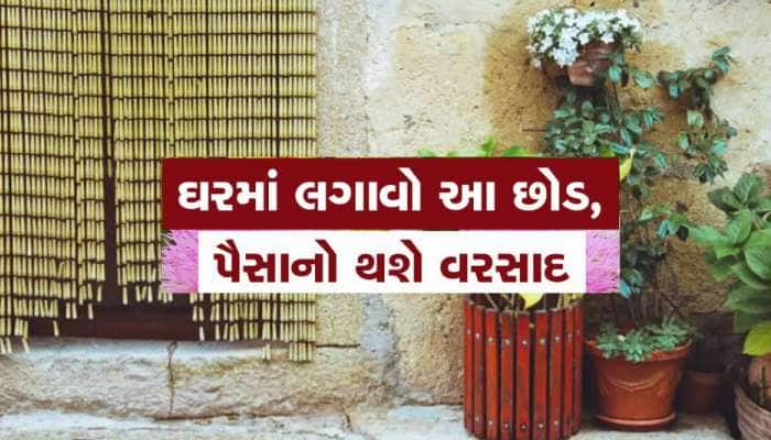 આમાંથી એક પણ છોડ ઘરના મુખ્ય દરવાજા પર લગાવી દો, દિવસ-રાત ઘરમાં રૂપિયાની થશે રેલમછેલ