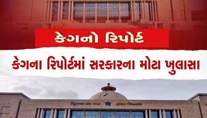 કેગના રિપોર્ટમાં ખૂલ્યા વન વિભાગના મોટા રાઝ, 5 વર્ષમાં 18 હજારથી વધુ વૃક્ષ ગેરકાયદે 