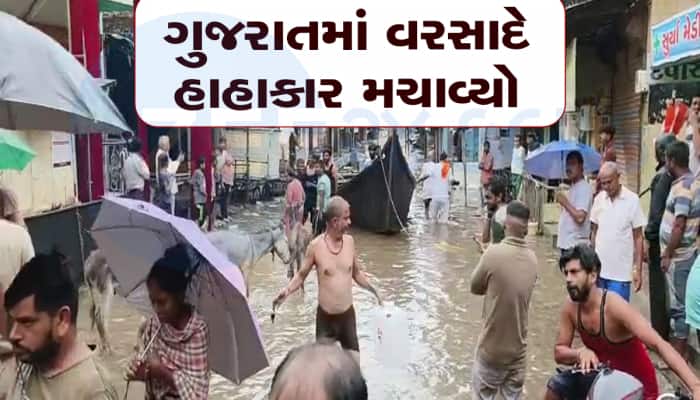 ગુજરાતમાં વરસાદના લેટેસ્ટ અહેવાલ : 7 જિલ્લાની શાળામા રજા, સવારથી 91 તાલુકામા મેઘમહેર