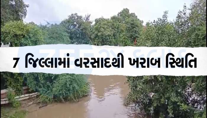 ગુજરાતે એમપી પર ઢોળ્યો દોષનો ટોપલો, રૂલ લેવલ ન જાળવતાં ગુજરાતમાં પૂર આવ્યું
