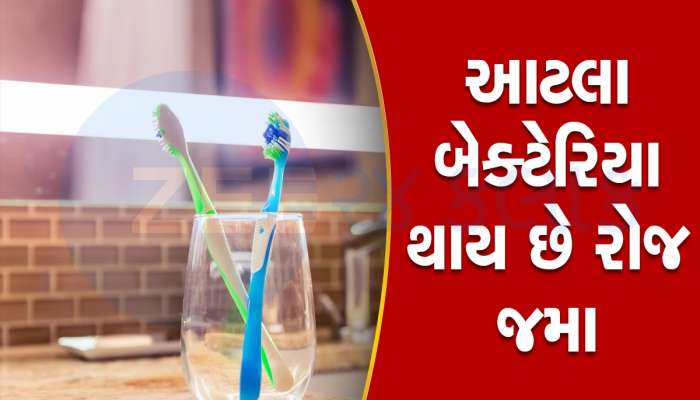 ટૂથબ્રશને બાથરૂમમાં રાખો છો તો ભૂલથી પણ ન વાંચતા, ઘરે જઈને ફેંકી દેશો બ્રશ