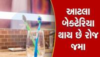 ટૂથબ્રશને બાથરૂમમાં રાખો છો તો ભૂલથી પણ ન વાંચતા, ઘરે જઈને ફેંકી દેશો બ્રશ