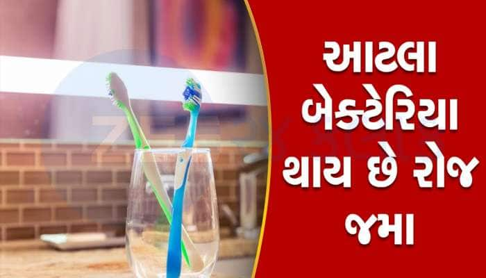 ટૂથબ્રશને બાથરૂમમાં રાખો છો તો ભૂલથી પણ ન વાંચતા, ઘરે જઈને ફેંકી દેશો બ્રશ