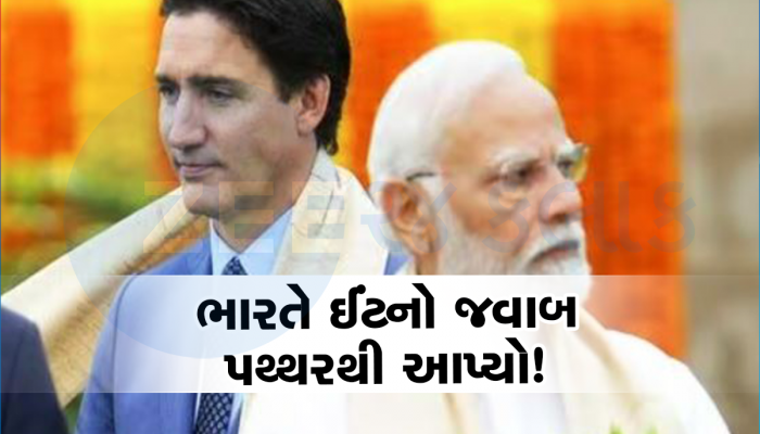 જસ્ટીન ટ્રુડોને કેવી રીતે ભારે પડી પોતાની મૂર્ખામી? ભારતે કઠોર વલણ અપનાવતા આ રીતે નરમ પડ્યા સૂર!
