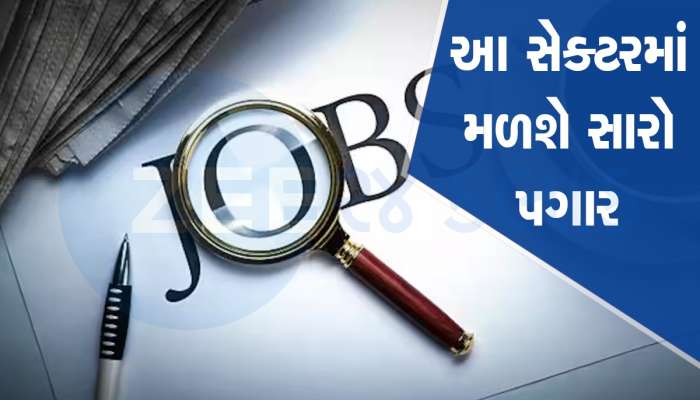 Highest Paying Jobs: હવે વિદેશ જવાની જરૂર નથી, ભારતમાં રહીને લાખો રૂપિયા કમાઓ, અહીં કરો નોકરી
