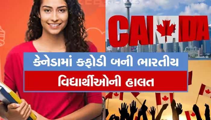 કેનેડામાં ભણતા સવા લાખ ગુજરાતી વિદ્યાર્થીઓનો પરિવાર કેમ છે ચિંતામાં? શું છે સ્થિતિ?