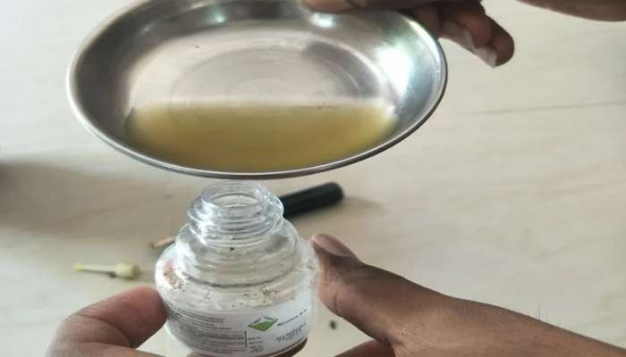 Mosquito Refill: ઘરે માત્ર 20 રૂપિયામાં તૈયાર કરો મચ્છર ભગાડતું લિક્વિડ, 10 મિનિટમાં મચ્છરનો થશે ખાતમો