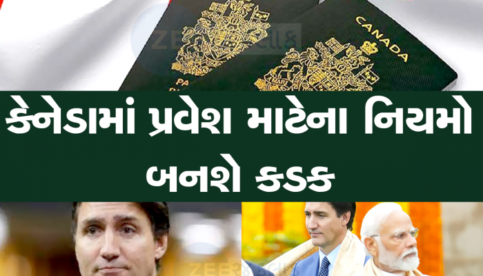 ભારતીય વિદ્યાર્થીના વિઝા કેન્સલ કરશે કેનેડા? વાલીઓની ચિંતા વધી, 2 લાખ વિદ્યાર્થીનું ભવિષ્ય જોખમમાં
