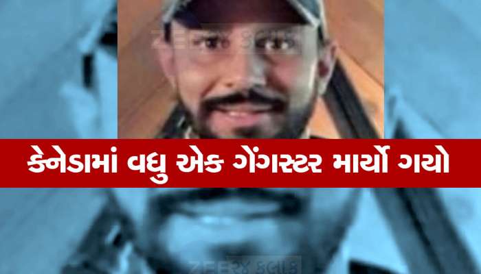 ભારતથી ફરાર થયેલા વધુ એક ગેંગસ્ટરની કેનેડામાં હત્યા, ખાલિસ્તાની આતંકી અર્શદીપનો હતો રાઈટ હેન્ડ