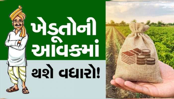 ગુજરાતના ખેડૂતો થશે માલામાલ! ફેંકી દેવાતા ફળોના છોતરામાંથી ખેડૂતો મેળવી શકે છે આવક
